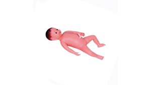 The Kyoto Kagaku Male Newborn Bathing & Nursery Care Model