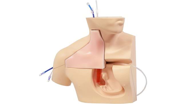 Ultrasound Central Venous Catheter Insertion Simulator Mk 3 for teaching central line management 