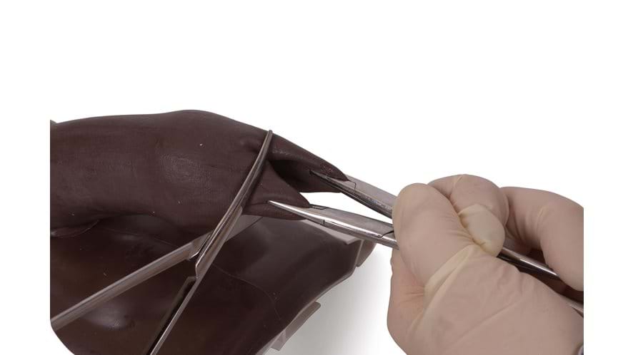 Circumcision procedure on the Adult Male Circumcision Trainer in dark skin tone 