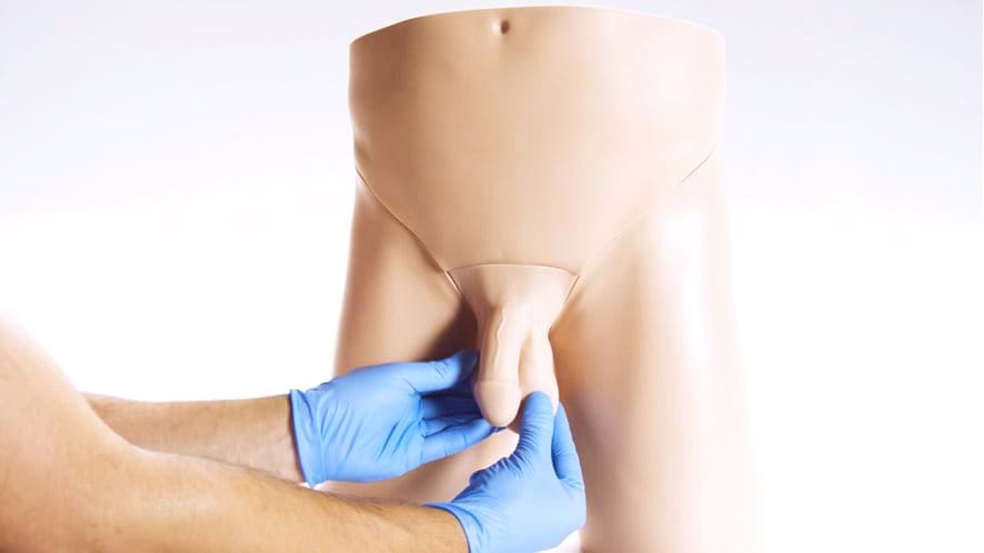 Standard clinical male pelvic trainer that simulates testicular pathologies for nurses and healthcare practitioners 