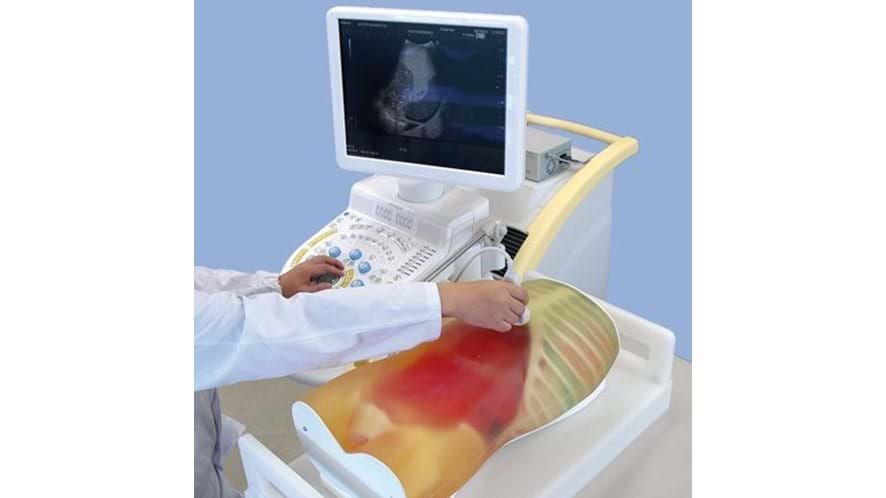 FAST/ER FAN Ultrasound Examination Training Model