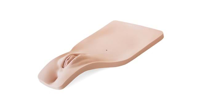 Replacement Female Perineum for the Female Catheterization Trainer.