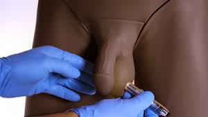 Standard clinical male pelvic trainer in dark skin tone that simulates testicular pathologies for nurses and healthcare practitioners 