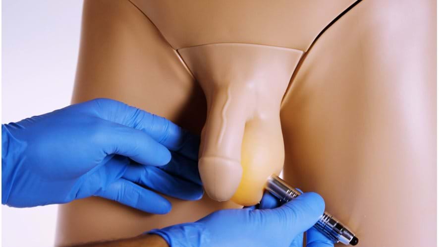 This Pen Torch works with the Clinical Male Pelvic Trainer module 4 to identify Epididymal Cysts.